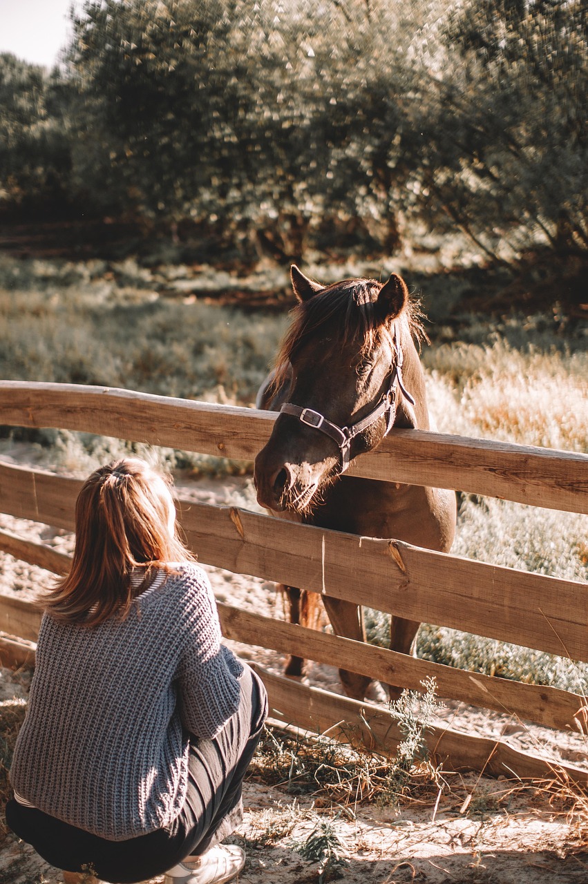 Muleshoe Ranch