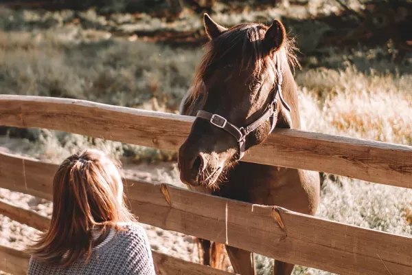 Muleshoe Ranch