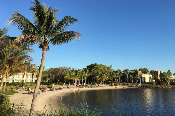 Photo of Palm Tree Beach Club