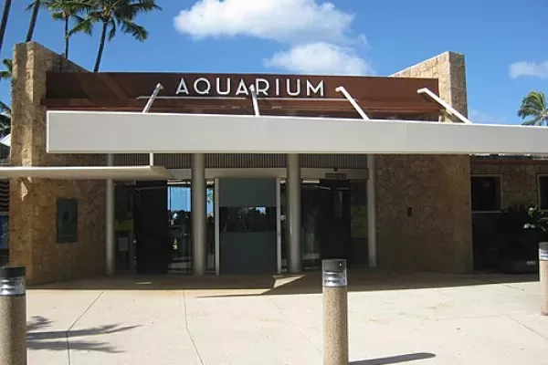 Photo of Waikiki Aquarium