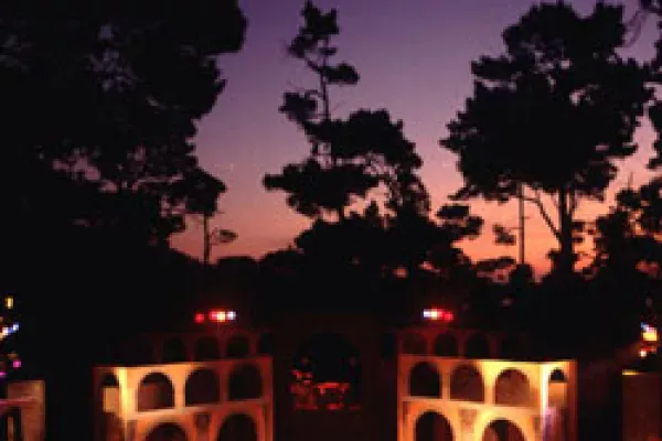 Redwood Forest Theater