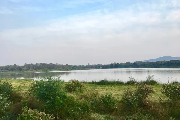 Photo of Kukkarahalli Lake