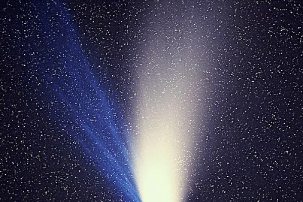 Comet Brews