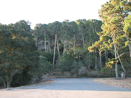 Tilden Regional Park Little Farm