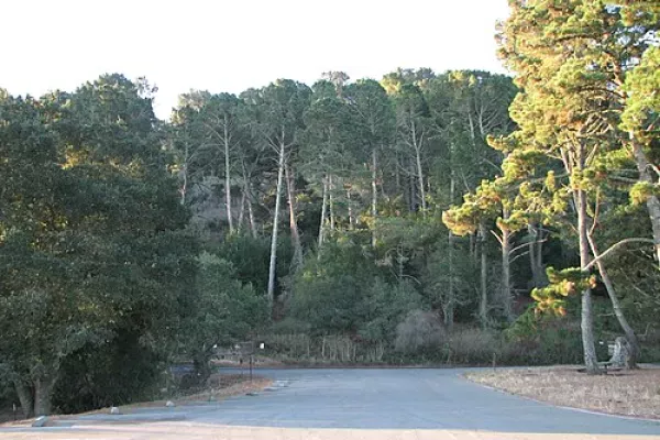 Tilden Regional Park Little Farm