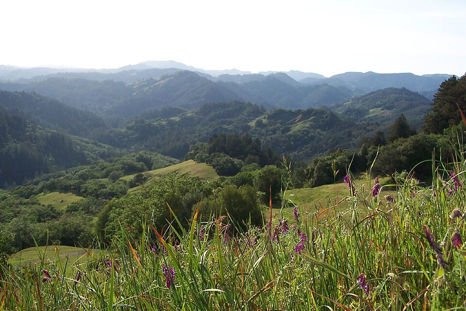Austin Creek State Recreation Area