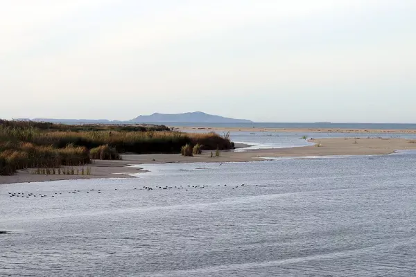 McGrath State Beach