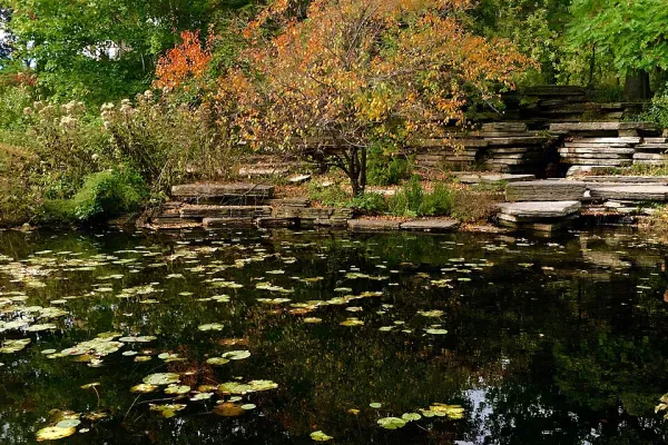 Photo of Alfred Caldwell Lily Pool