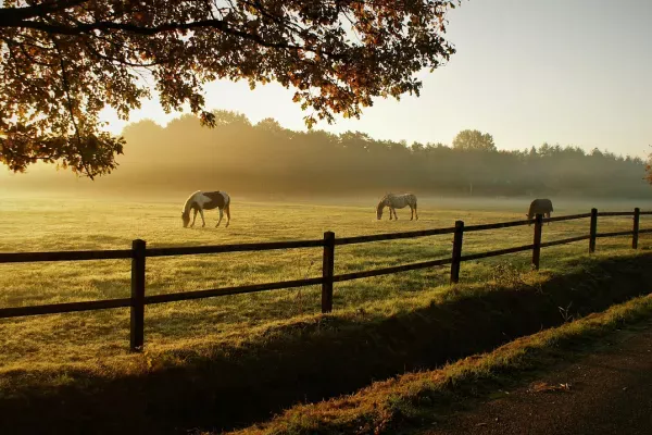 Dawn Ranch