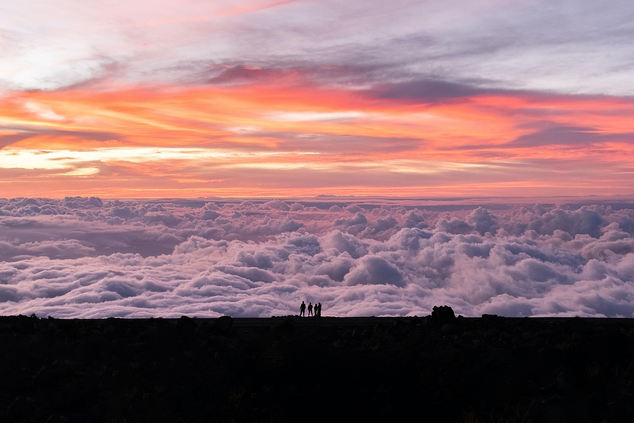 Maui Vista