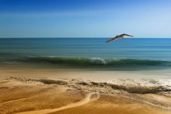 Photo of Makena Surf, A Destination Residence