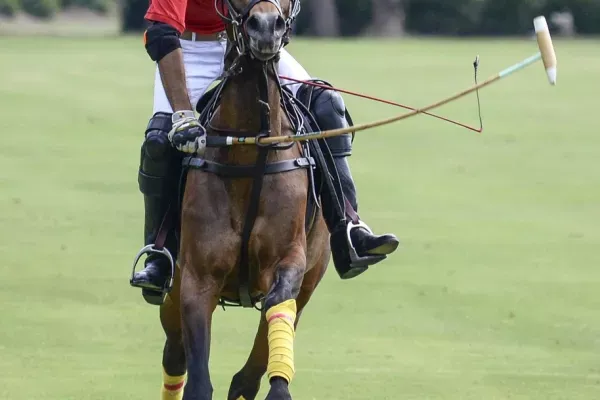 Photo of Polo Beach Club, A Destination Residence