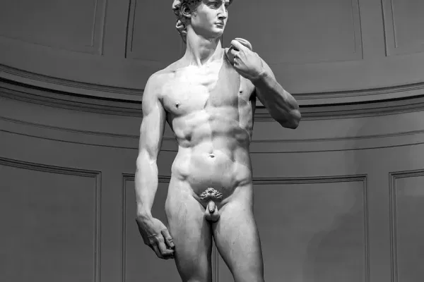 Photo of The Michelangelo