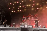 Dying Fetus & Sanguisugabogg