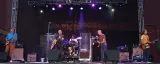 Gin Blossoms & Blues Traveler