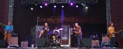 Gin Blossoms