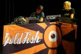 Goldfish