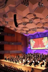 Minnesota Orchestra: Stephanie Childress - Beethoven Triple Concerto