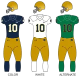 2026 Notre Dame Fighting Irish Football Season Tickets (Includes Tickets To All Regular Season Home Games)