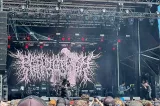 PeelingFlesh