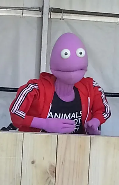 Randy Feltface