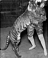 Ringling Bros. and Barnum & Bailey Circus