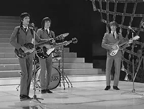 The Bootleg Beatles In Concert