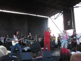 The Dickies