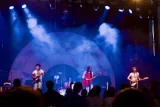 The Lemon Twigs