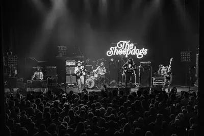 The Sheepdogs