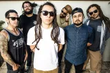 Tribal Seeds