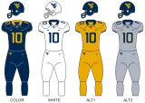 2026 West Virginia Mountaineers Football Season Tickets (Includes Tickets To All Regular Season Home Games)