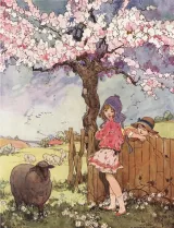 Black Sheep