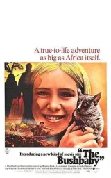 Bushbaby