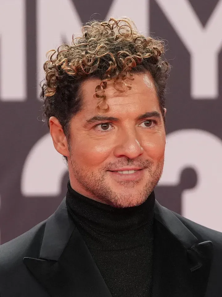 David Bisbal Tickets and Info
