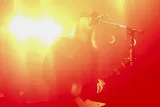 Dinosaur Pile-Up