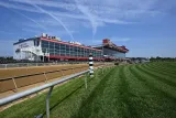 Preakness Stakes