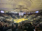 Purdue Boilermakers vs. Ball State Cardinals