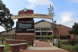 Tallahassee Beer Festival