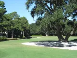 RBC Heritage
