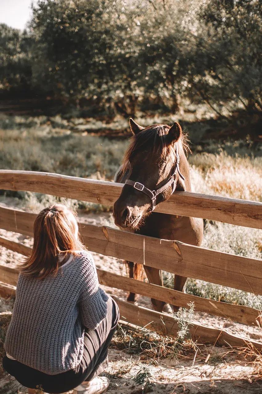 Muleshoe Ranch, Tucson