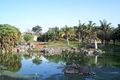Palmetum de Santa Cruz de Tenerife