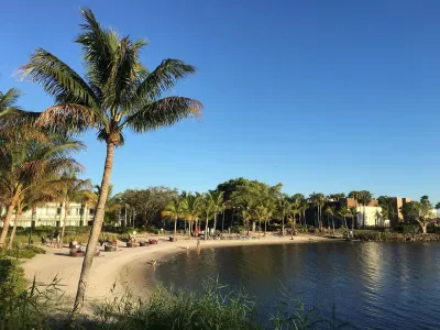 Palm Tree Beach Club