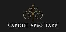 Cardiff Arms Park, Cardiff