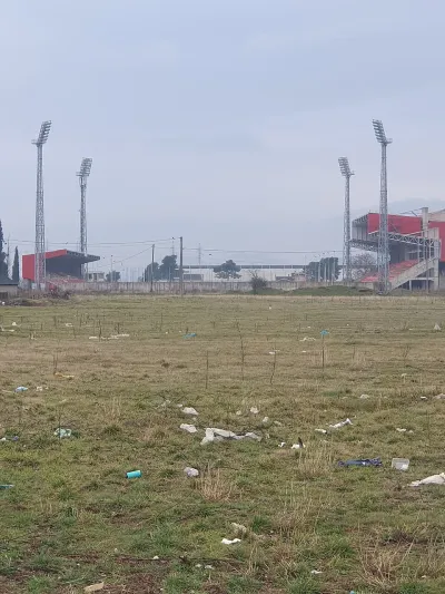 DG Arena
