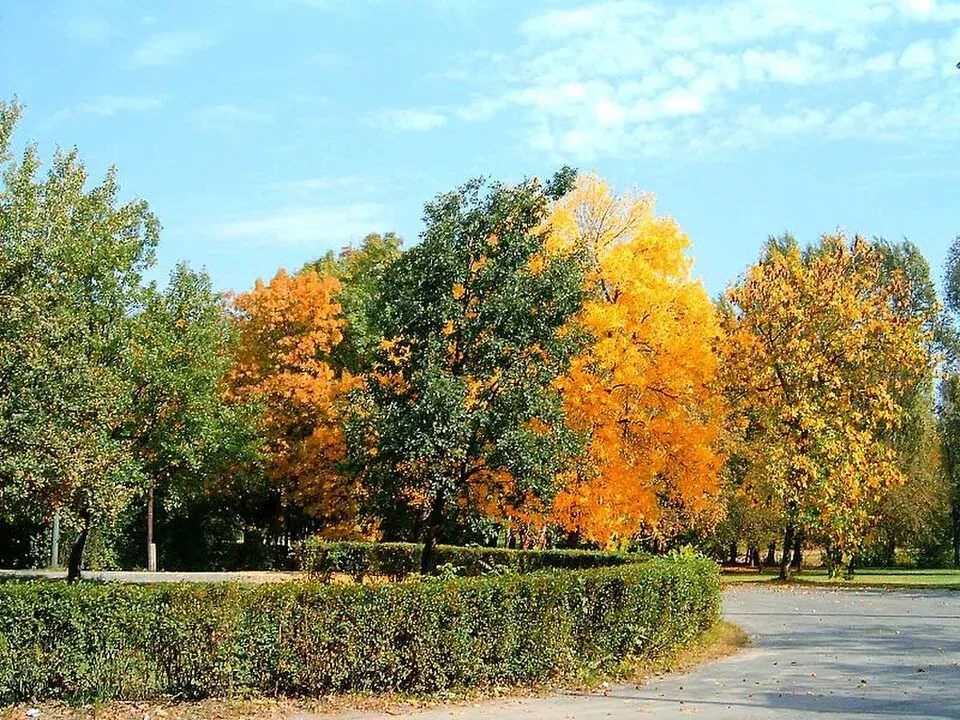 Obudai Sziget, Budapest