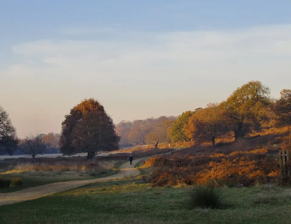 Richmond Park, Dublin