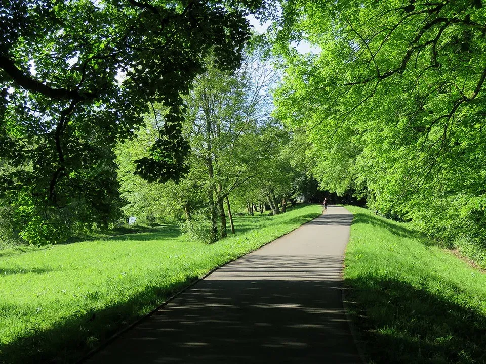 Sophia Gardens, Cardiff