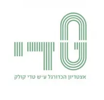 Teddy Stadium