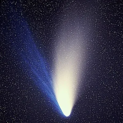 Comet Brews